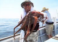 この画像は、サイトの記事「マダコ釣り 東京湾 ネットで話題 魚釣り専門 YouTube注目無料視聴動画ご紹介！」のイメージ写真画像として利用しています。